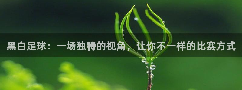 黑白足球：一场独特的视角，让你不一样的比赛方式