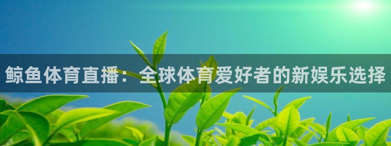 鲸鱼体育直播：全球体育爱好者的新娱乐选择