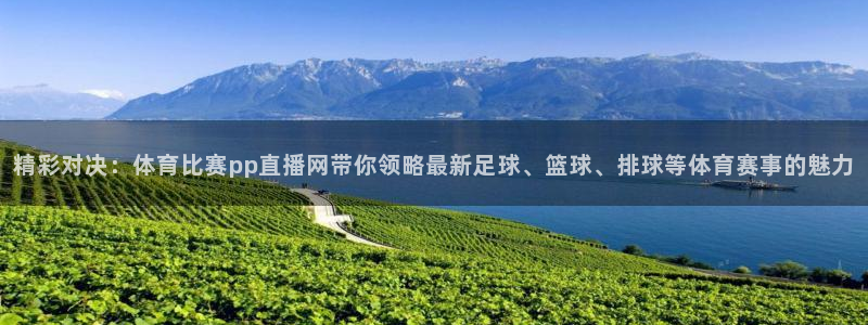 精彩对决：体育比赛pp直播网带你领略最新足球、篮球、排球等体育赛事的魅力